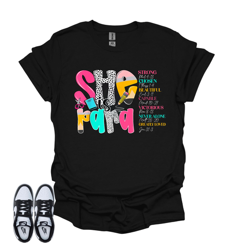 School Para Professional Mini  T-Shirt Box/ Choose Any 3