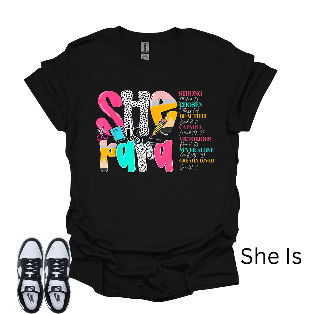 School Para Professional Mini  T-Shirt Box/ Choose Any 3
