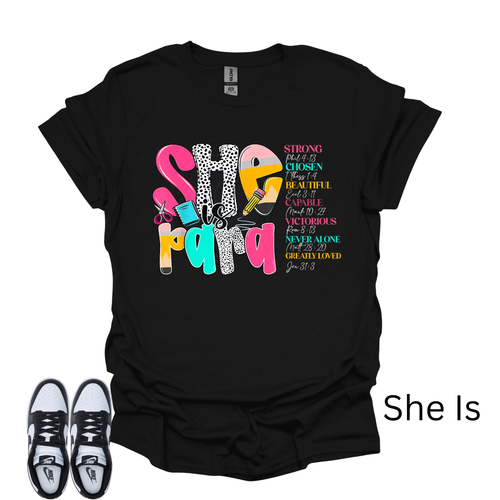 School Para Professional Mini  T-Shirt Box/ Choose Any 3